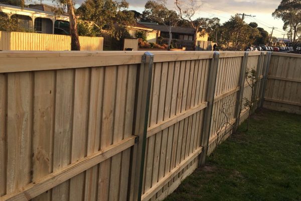 Galvanized Steel posts in Treated Pine Paling fence